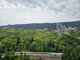 Archi Tamarashvili