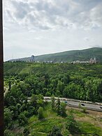 Archi Tamarashvili