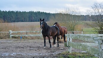 Willa Sun & Snow Zasypane Mazury