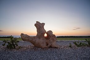 Mantis Seaside Houses