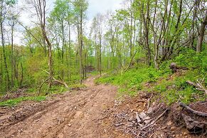 1 Mi to Mohican River: Wooded Retreat w/ Trails!