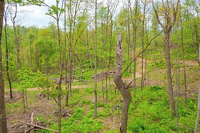 1 Mi to Mohican River: Wooded Retreat w/ Trails!