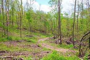 1 Mi to Mohican River: Wooded Retreat w/ Trails!