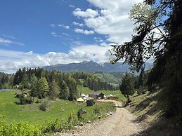Andolia