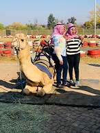 Ten Flags Theme Park