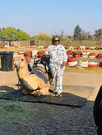 Ten Flags Theme Park