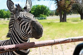 Zebra Refuge Cottage-wild Unique Prescott Stay