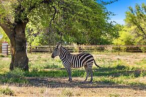 Zebra Refuge Cottage-wild Unique Prescott Stay