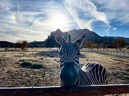 Zebra Refuge Cottage-wild Unique Prescott Stay