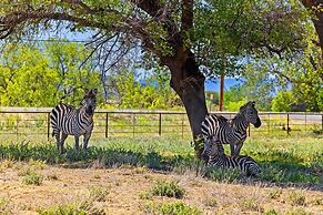 Zebra Refuge Cottage-wild Unique Prescott Stay