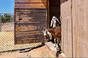 Zebra Refuge Cottage-wild Unique Prescott Stay