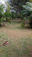 Eco Sítio o Labirinto do Fauno
