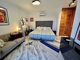 Elegant, Modern Style Villa in Playa Nueva Romana2