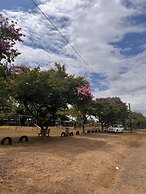 EL REY MOTEL & RESTAURANT