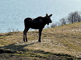 Paradise Suites Eagles Nest Apt C