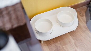 Yeongwol Nature & Pet Retreat