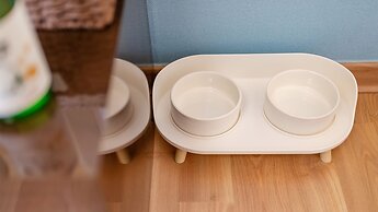 Yeongwol Nature & Pet Retreat