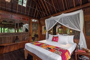 Lumina Wellness Retreat