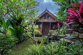 Lumina Wellness Retreat