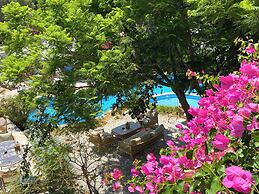 Cumbalıca Flora