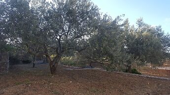 Villa Politimi at Aegina