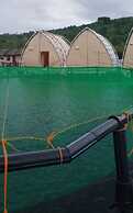 Floating Home in Reef Resort 3