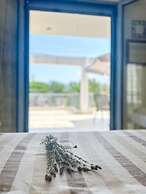 Filiatra Cozy Central Gem With Balcony