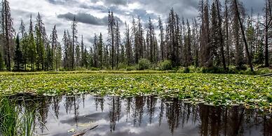 Luxury 2BR Mountain Townhouse w Picturesque Views