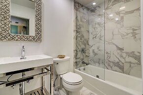 1 Laughing Gull at The Sea Pines Resort