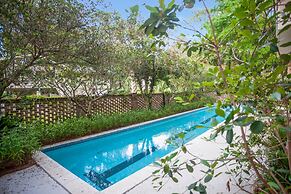 11 Cedar Waxwing at The Sea Pines Resort