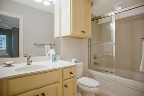 11 Cedar Waxwing at The Sea Pines Resort