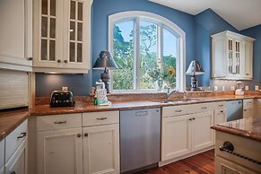 11 Cedar Waxwing at The Sea Pines Resort