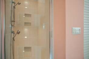 11 Cedar Waxwing at The Sea Pines Resort