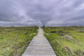 11 Cedar Waxwing at The Sea Pines Resort