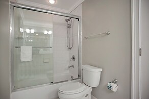 9 Green Heron at The Sea Pines Resort