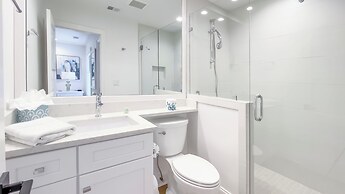 9 Sandhill Crane at The Sea Pines Resort