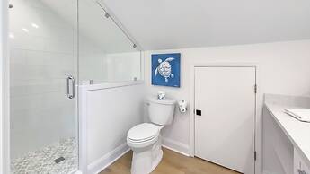 9 Sandhill Crane at The Sea Pines Resort