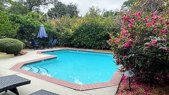 8 Ruddy Turnstone at The Sea Pines Resort
