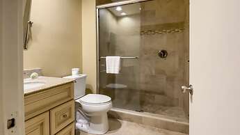 8 Ruddy Turnstone at The Sea Pines Resort