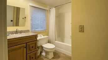 8 Ruddy Turnstone at The Sea Pines Resort