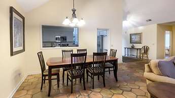 8 Ruddy Turnstone at The Sea Pines Resort