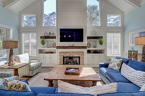 10 Laughing Gull at The Sea Pines Resort