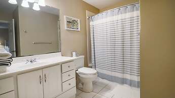 2 Spotted Sandpiper at The Sea Pines Resort