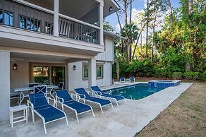 9 Laughing Gull at The Sea Pines Resort