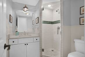 9 Laughing Gull at The Sea Pines Resort