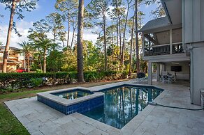 9 Laughing Gull at The Sea Pines Resort