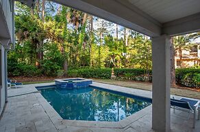9 Laughing Gull at The Sea Pines Resort
