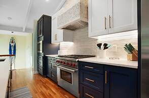 9 Laughing Gull at The Sea Pines Resort