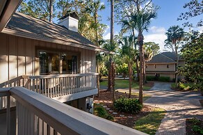 9 Laughing Gull at The Sea Pines Resort