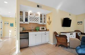 9 Laughing Gull at The Sea Pines Resort